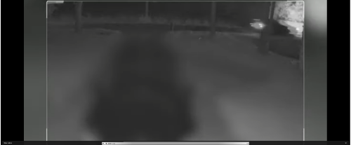 opsporing verzocht 2