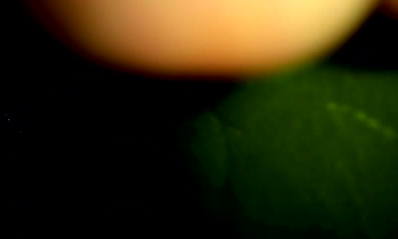 [MP4/ 224M] KTV陪酒小妹妹被灌倒后带到宾馆双洞被搞，非常清晰