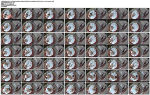 Ax7p8d.jpg
