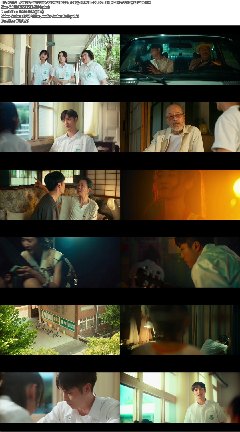 [台灣]夏日的檸檬草.2024.WEB-DL.1080p[繁簡英]