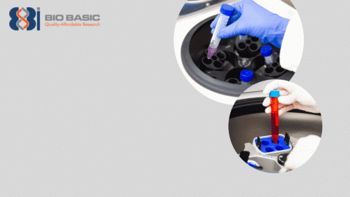 Discover high-performance benchtop incubator shakers designed for precise temperature control, consistent agitation, and space-saving laboratory efficiency.

For more visit: https://www.biobasic.com/products/benchtop-equipment/incubators