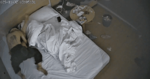 【短片x20】核彈韓國美女舞團大庭廣眾～嫩乳美穴全裸熱舞演出