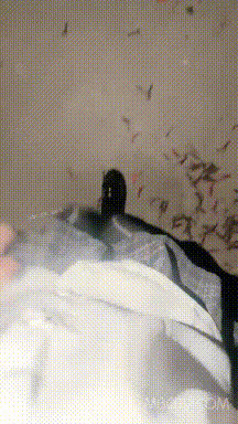 【短片x20】北野愛～享受性愛按摩騷水直流