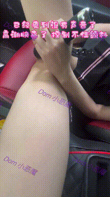 【短片x20】瀋陽舞蹈學院究極反差婊【張鳳蓮】完整版4k流出