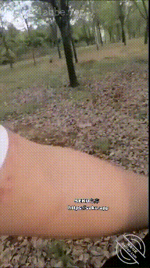 【短片x20】四川科技學院大一新生