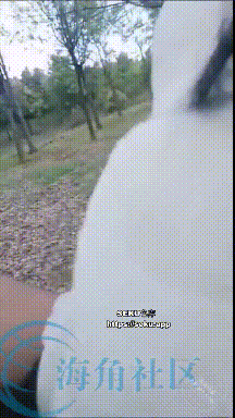 【短片x20】四川科技學院大一新生