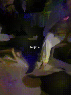 【短片x20】約啪多位女神最新福利
