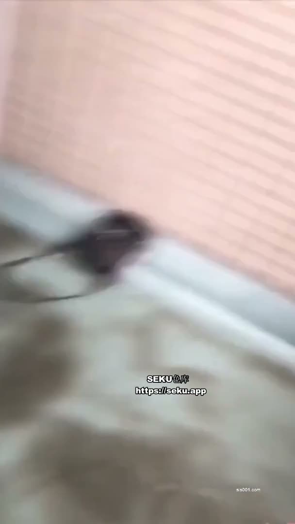 dZ6Av7.jpg
