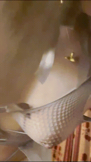 【短片x20】你的好朋友說他約了一個大網路名人，想借你陽台一會兒