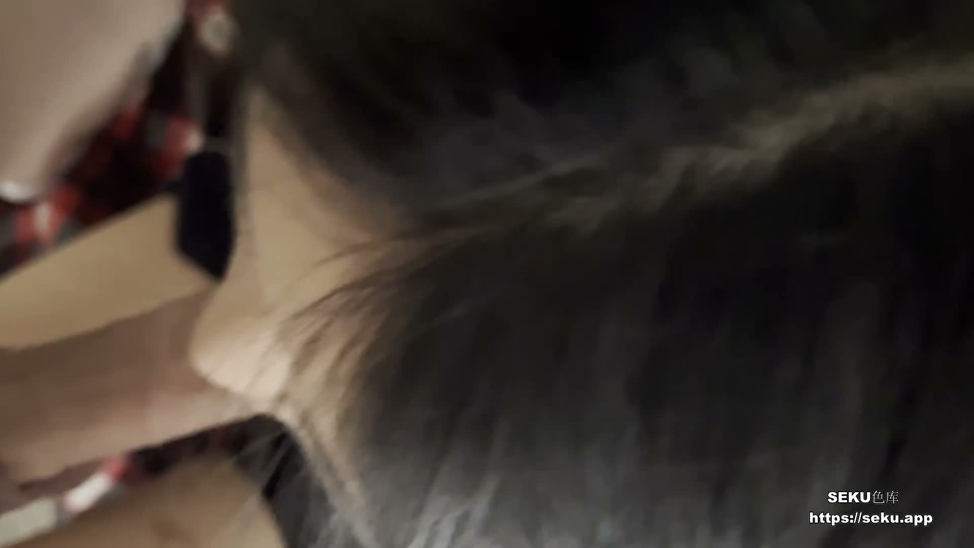dIDbqD.jpg