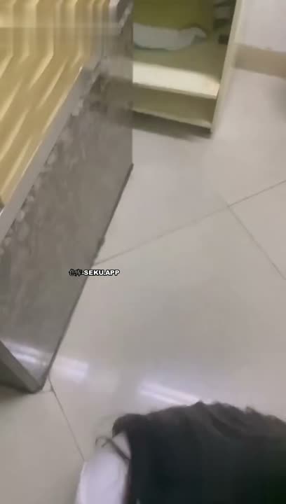 diatC3.jpg